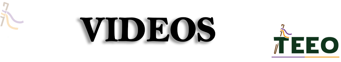 banner videos
